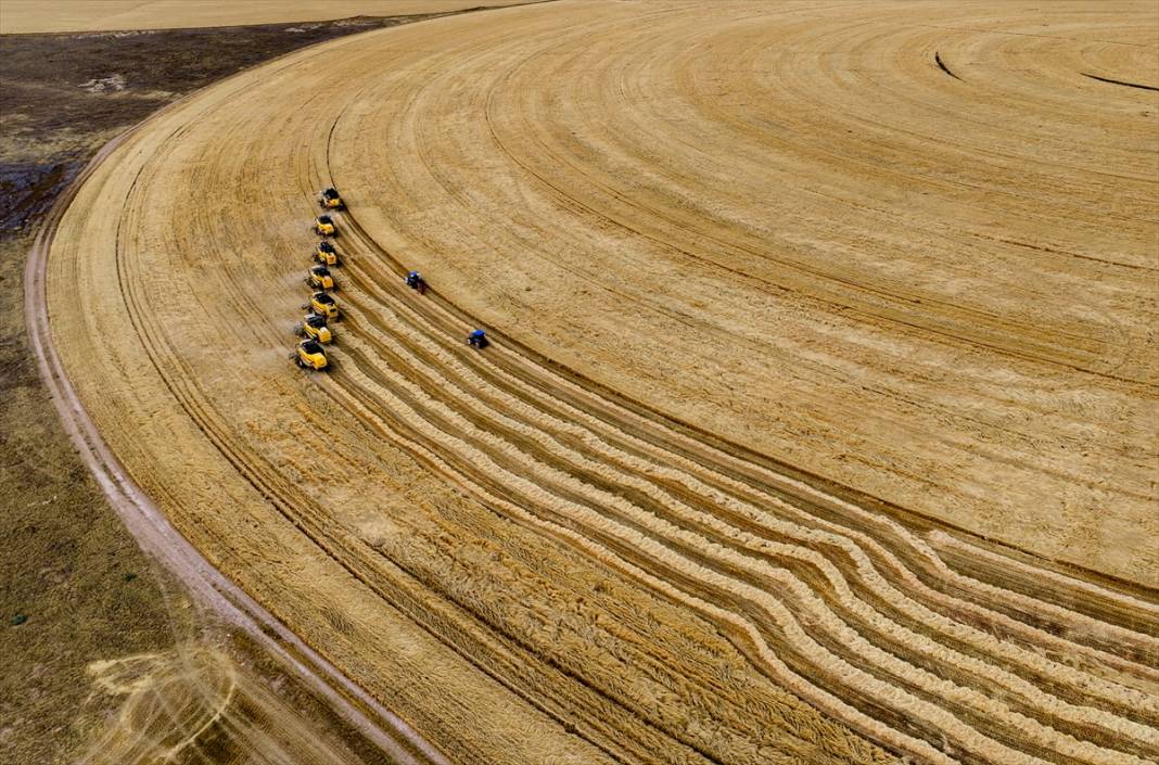 Konya’nın devasa tarlaları kuraklığa avantaj sağladı! Verim şaşırttı 4